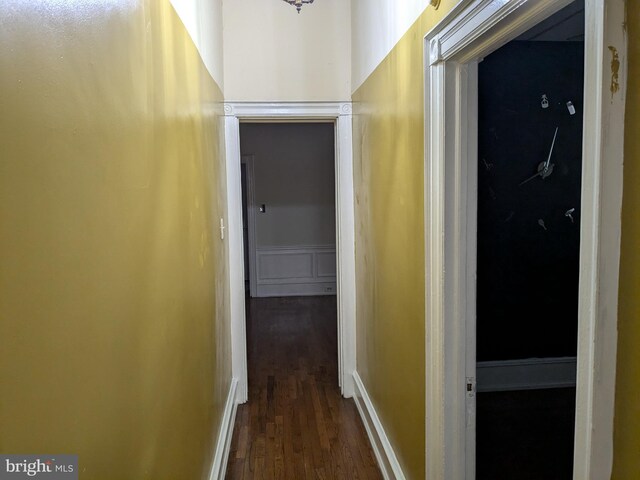 hallway featuring dark wood-type flooring