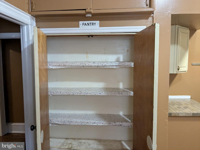 view of pantry