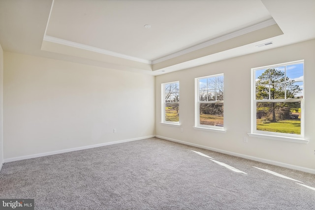 carpeted spare room featuring ornamental molding and a tray ceiling