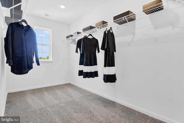 walk in closet with carpet flooring