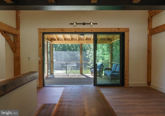 doorway to outside featuring wood-type flooring