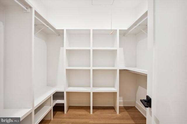 spacious closet featuring wood-type flooring