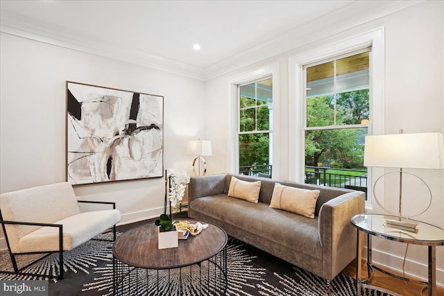 living room featuring ornamental molding and hardwood / wood-style flooring