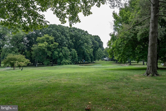 view of community with a lawn