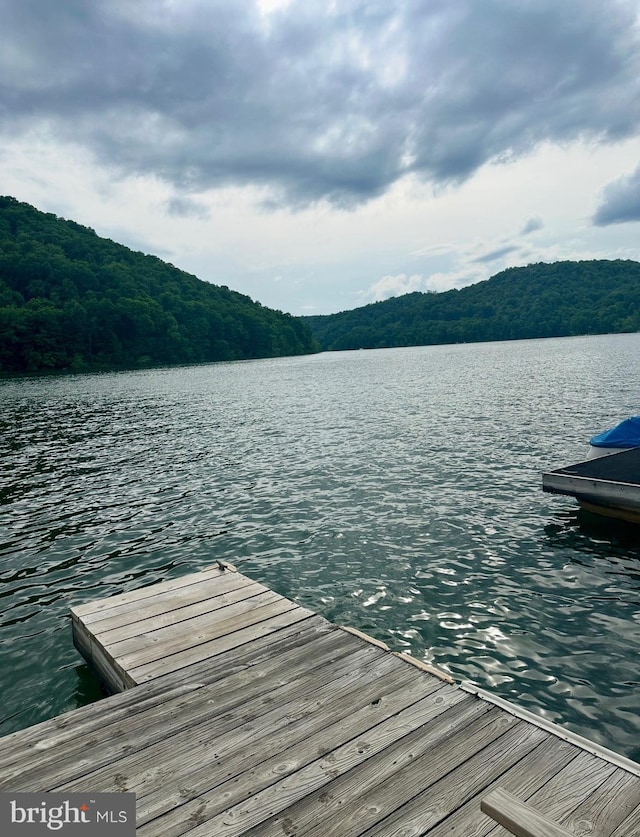 dock area with a water view