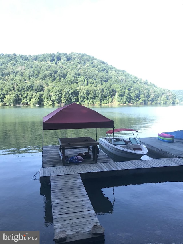 dock area featuring a water view