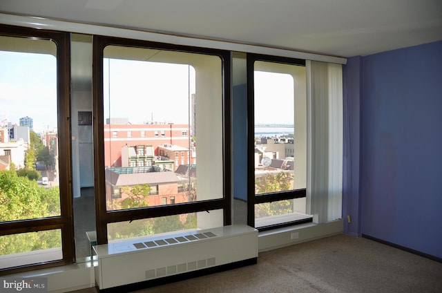 interior space with a healthy amount of sunlight and carpet flooring