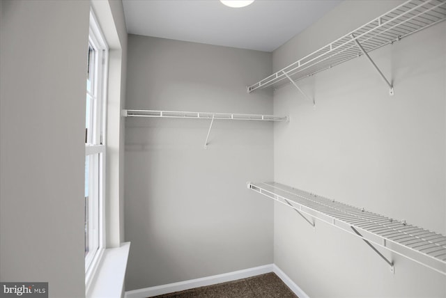 view of spacious closet