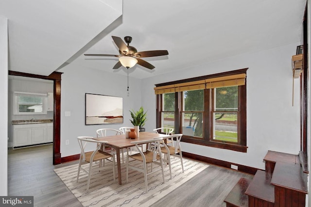 dining room featuring ceiling fan and light wood-type flooring