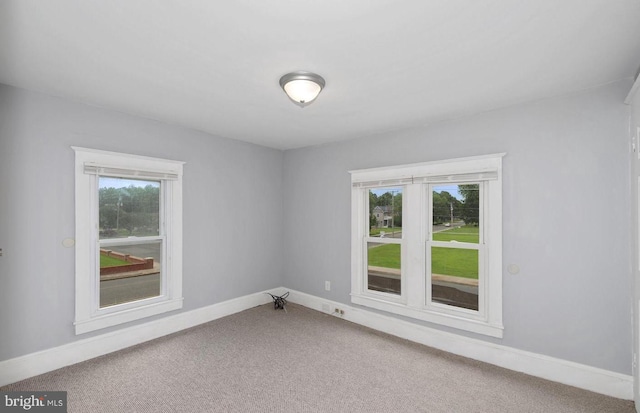 spare room with carpet and a wealth of natural light