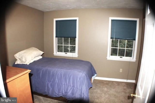 bedroom featuring carpet floors and a textured ceiling