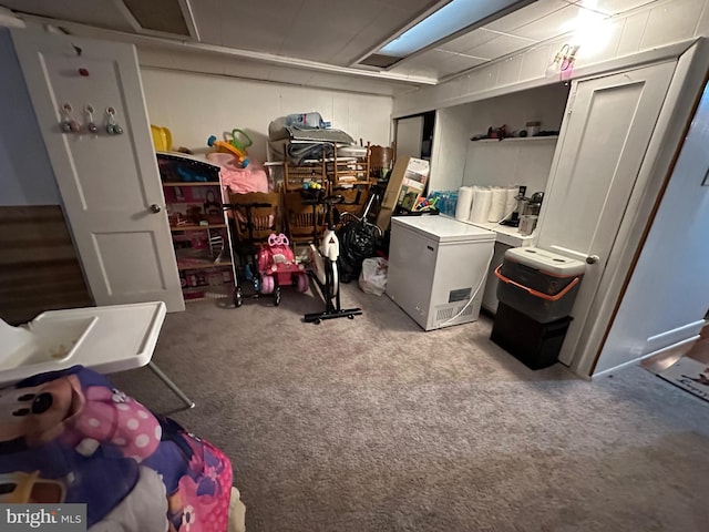 washroom with carpet floors