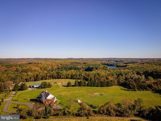 bird's eye view with a water view and a wooded view