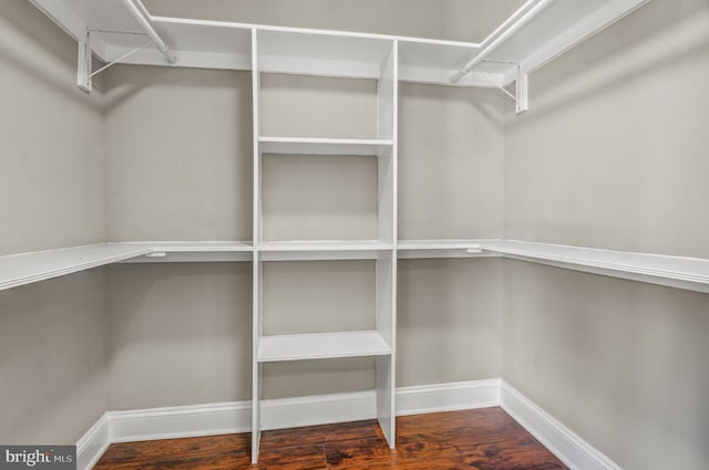 walk in closet with dark hardwood / wood-style floors