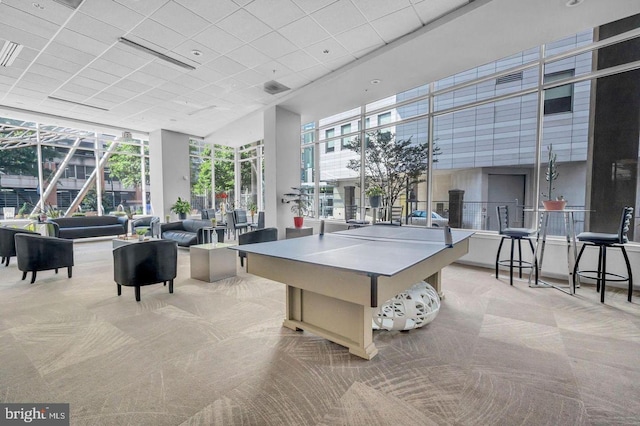 recreation room with light carpet