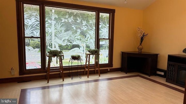 doorway to outside featuring light hardwood / wood-style floors and a healthy amount of sunlight