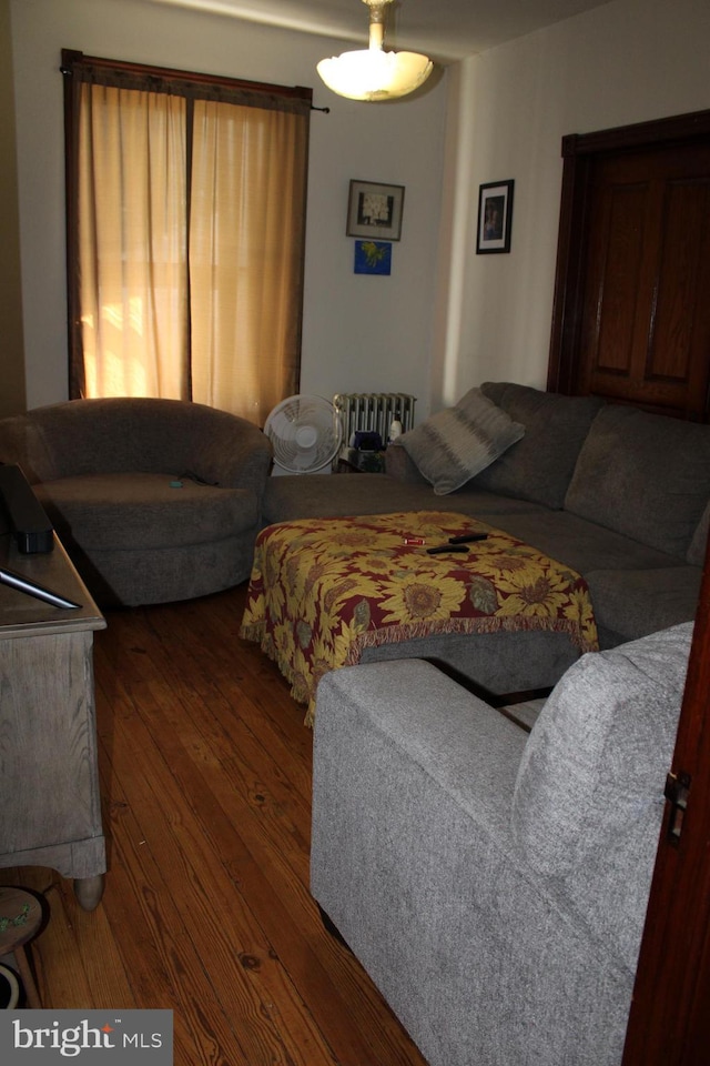 living room featuring dark wood-type flooring and radiator heating unit