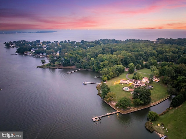 drone / aerial view with a view of trees and a water view