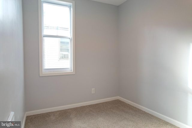 empty room with carpet floors and a healthy amount of sunlight