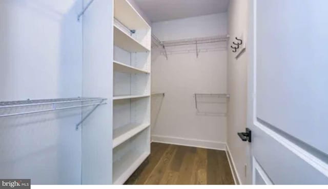 walk in closet with dark hardwood / wood-style flooring