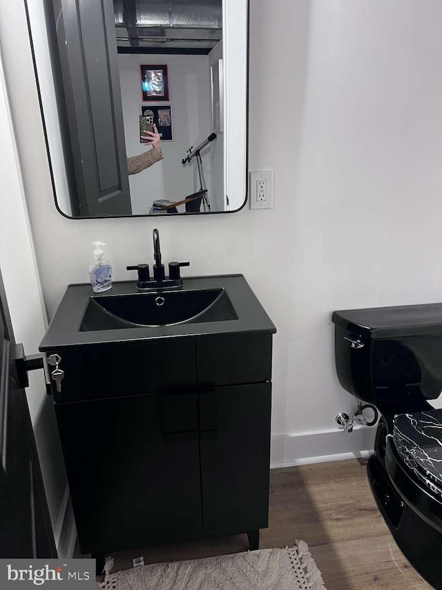 bathroom featuring wood-type flooring and vanity