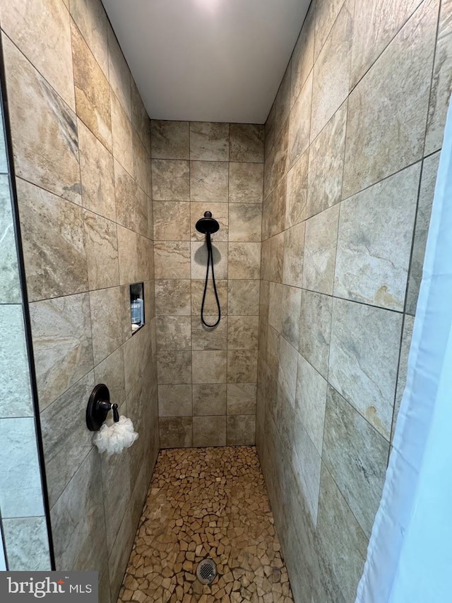 bathroom with walk in shower