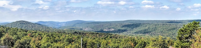 property view of mountains