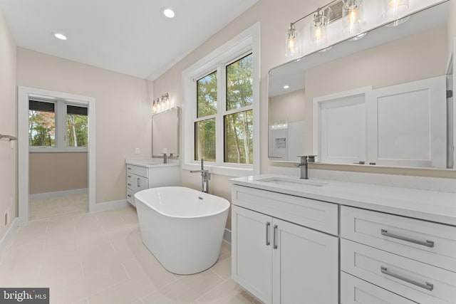 bathroom with vanity, a bathing tub, and plenty of natural light