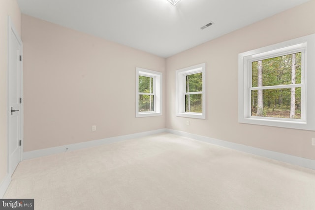 empty room featuring a healthy amount of sunlight and light colored carpet