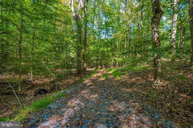 Listing photo 3 for Jesse Smith Rd, Mount Airy MD 21771