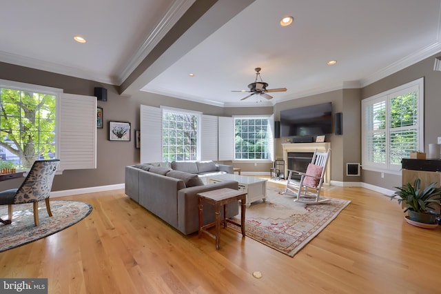 living area with baseboards, ornamental molding, light wood finished floors, and a glass covered fireplace