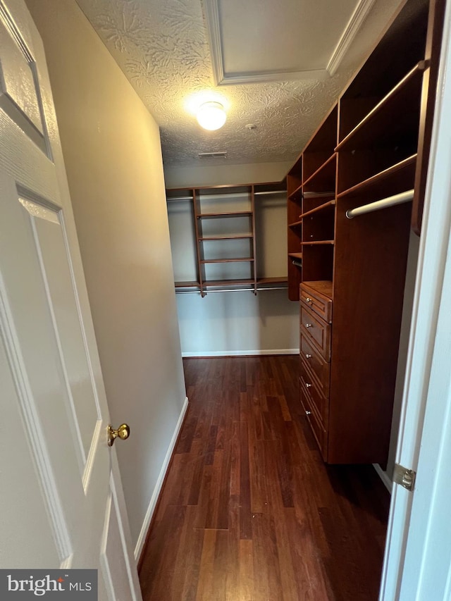 walk in closet with dark hardwood / wood-style floors