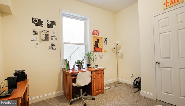 office area featuring light colored carpet