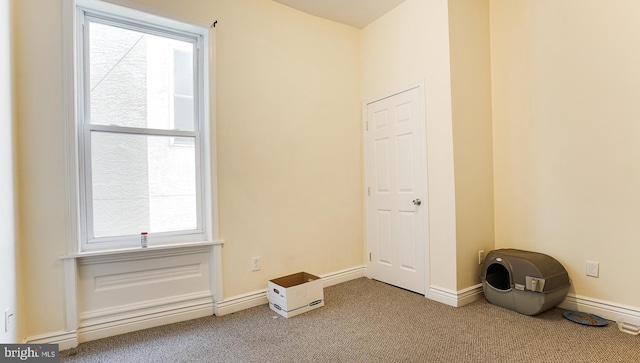 empty room with carpet floors and a healthy amount of sunlight