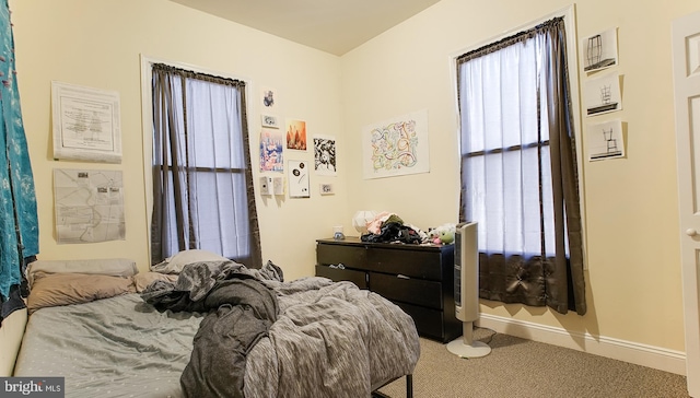 bedroom with carpet floors