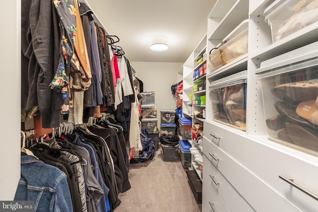 spacious closet featuring light carpet