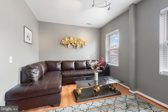 living room featuring hardwood / wood-style floors