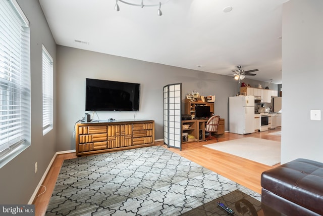 living room featuring ceiling fan, light wood-type flooring, and a wealth of natural light