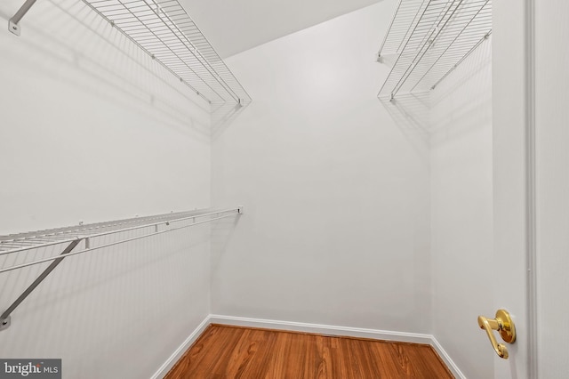 spacious closet featuring hardwood / wood-style flooring