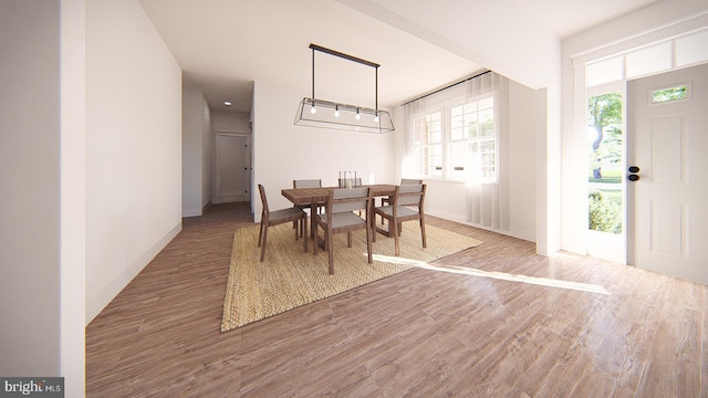 dining space featuring wood-type flooring