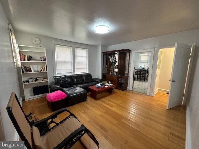 living room with light wood-type flooring