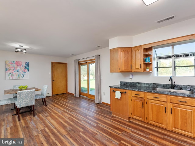 kitchen with sink and dark hardwood / wood-style flooring