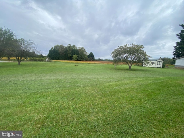 view of yard featuring a storage shed