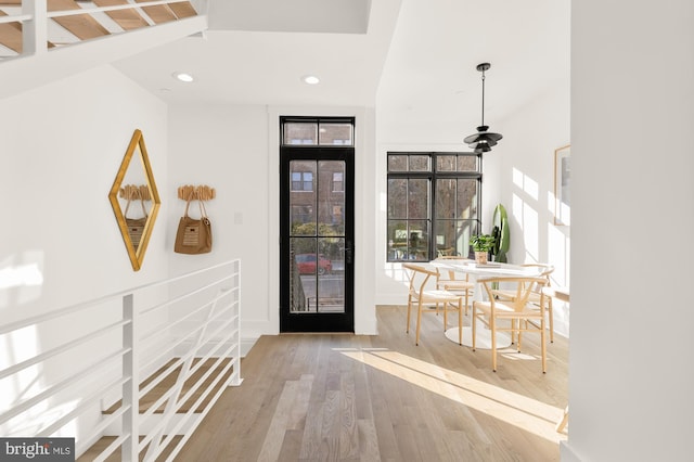 foyer entrance featuring wood-type flooring