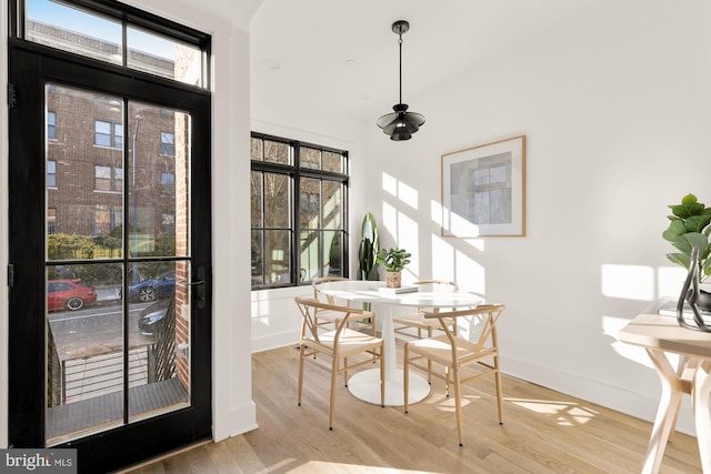 dining room featuring a wealth of natural light and light hardwood / wood-style flooring