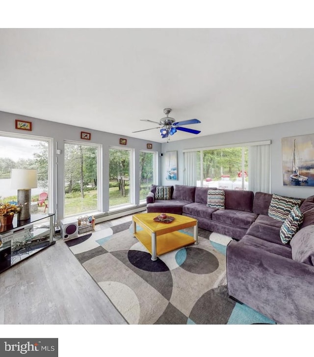 living room featuring ceiling fan, hardwood / wood-style flooring, and a healthy amount of sunlight