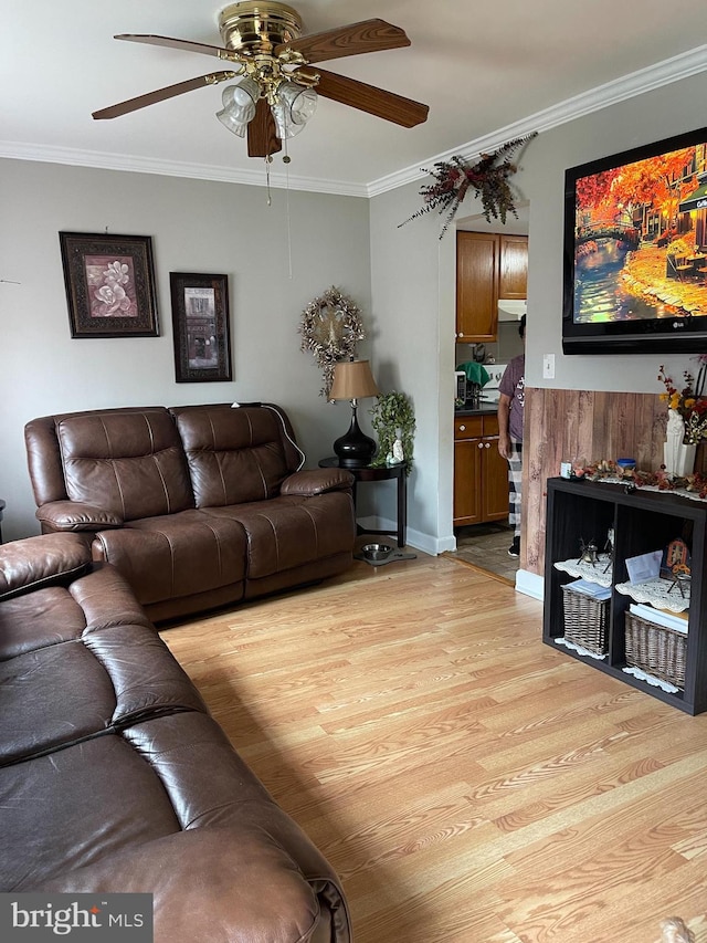 living room with crown molding, light hardwood / wood-style flooring, and ceiling fan