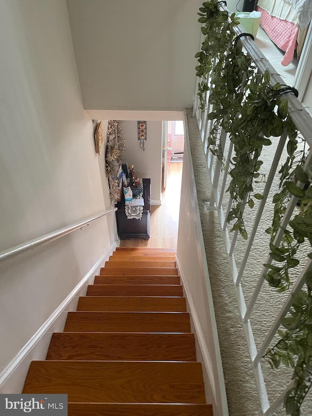 staircase featuring hardwood / wood-style flooring