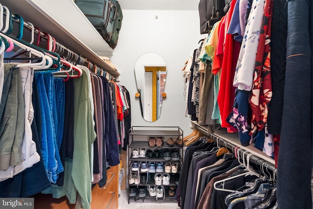 view of spacious closet