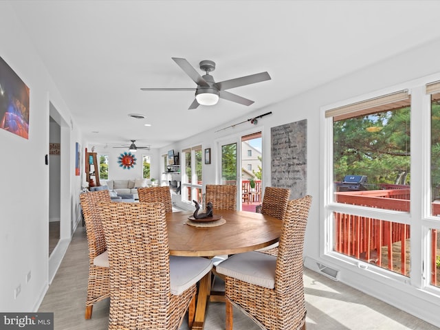 dining area with ceiling fan and light hardwood / wood-style floors